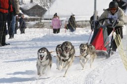 Lenk 2012 SM